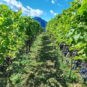 Vakantieboerderij Cascina Teresina, Veleso